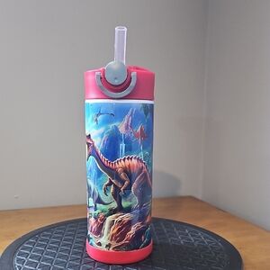 15oz Dinosaur Themed Red Water Bottle with Straw